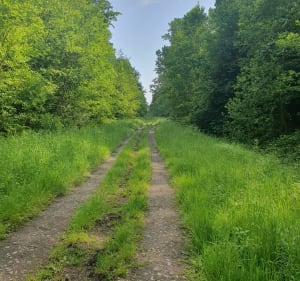 Parcours roulant entre campagne et forêt à Merville - Merville - 2