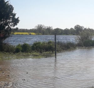 Le calme de Le Poiré-sur-vie - Le Poiré-sur-Vie - 2