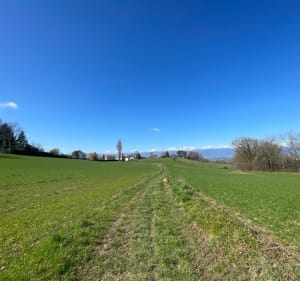 À travers champs et forêt, vue Salève, lac et jet d’eau - Collonges-sous-Salève - 2