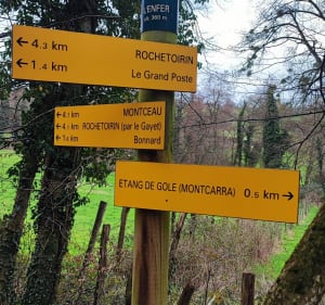 Étang de Gole au départ de Rochetoirin - Rochetoirin - 2