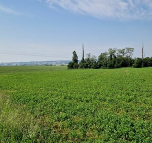 Autour de Rennemoulin - Noisy-le-Roi - 2