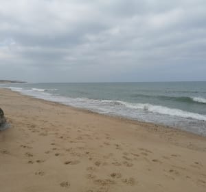 Sortie de l'Amélie à la plage - Soulac-sur-Mer - 2