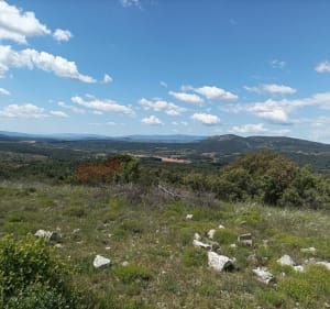 Balade autour de Riansy - Rians - 2