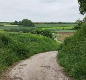Rando Serques, campagne et Marais - Serques - 2