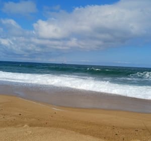 Labenne Ondres entre forêt et plage - Labenne - 2