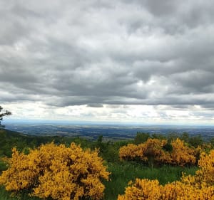 Balade dans le Beaujolais vert, du côté de Quincié - Leo - 4