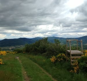 Balade dans le Beaujolais vert, du côté de Quincié - Leo - 5