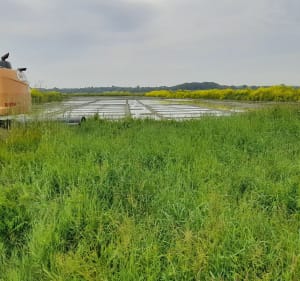 Découverte de la presqu'île de Pénestin - Gilbert - 5