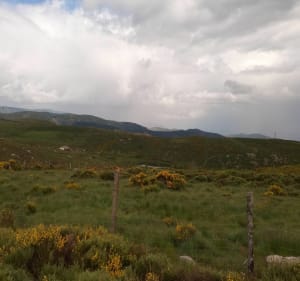 Randonnée "sauvage" proche de Montselgues - Montselgues - 2