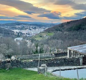 Chemin du Crêt du Loup - Saint-Étienne - 2