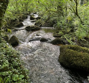 Autour du ruisseau de Matz - Jean-Philippe  - 2