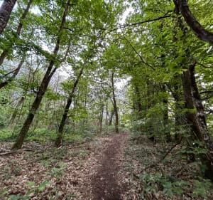 Autour du ruisseau de Matz - Caden - 2