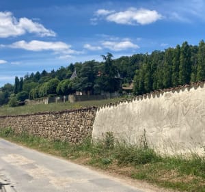 Valfleury, ses alentours et ses paysages. - Iris - 3