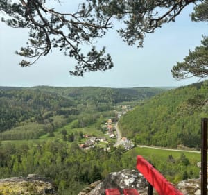 Trail Walscheid par le Hohwalsch et la Roche du Diable - Walscheid - 2