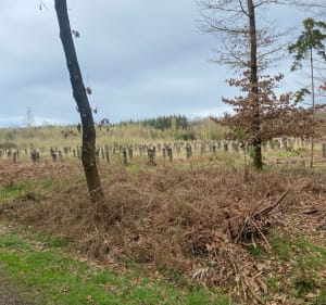 Le grand 8 à Oderfang - Longeville-lès-Saint-Avold - 2