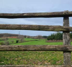 La mer de pierre et le Bois de Chaleutre - Collonge-en-Charollais - 2