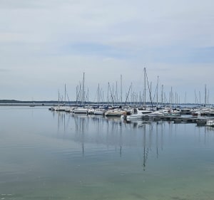 Tour des lacs d'Orient et du Temple - Lusigny-sur-Barse - 2