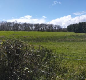 Petite promenade à la Roche-en-Brenil - La Roche-en-Brenil - 2