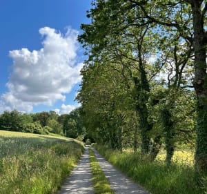 En suivant le ruisseau de La Vraie Croix - La Vraie-Croix - 3