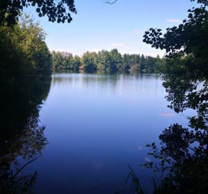 Fontaine-sous-Jouy, ses bois et ses étangs - Fontaine-sous-Jouy - 2