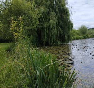 Tour du lac de la Grésigne - Castelnau-de-Montmiral - 2
