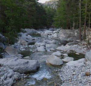 Rando dans la vallée de la Restonica - Corte - 2