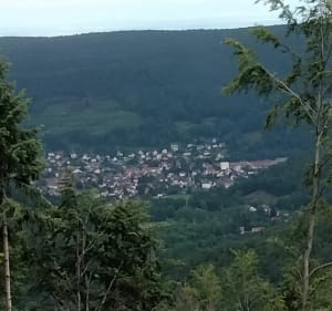 Randonnée entre Guebwiller et le lac du Ballon - Jean - 4
