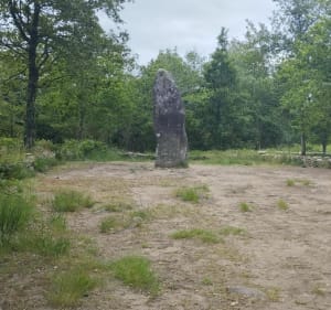 Centre de Carnac, forêt et menhirs - Carnac - 2
