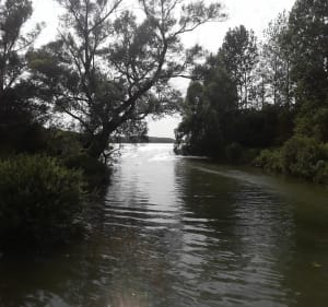 Autour des marais de la Sensée - Écourt-Saint-Quentin - 2