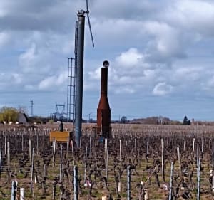 La boucle des vins de Saint Nicolas - Chouzé-sur-Loire - 2