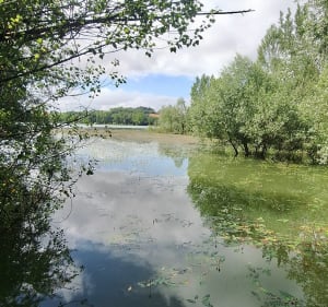 Balade au réservoir de Fourogue - Mailhoc - 2