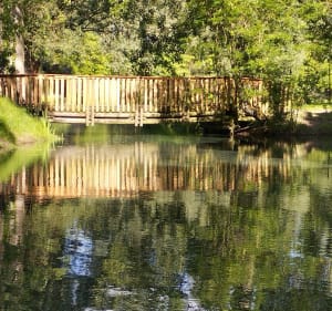 Source de la Somme - Saint-Quentin - 2