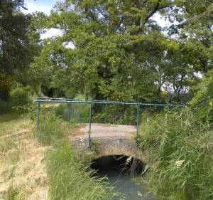 Canal de Carpentras autour de Sarrians - Sarrians - 2