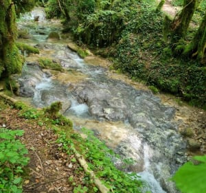 La cascade de Rheby - Villebois - 2