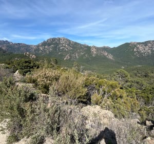 La vallée de Cavu et les 3 piscines - Zonza - 3