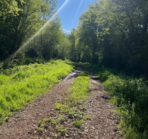 Rando VTT Sermoyer - Sermoyer - 2