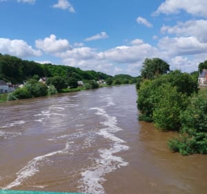 De Tours a Savonnières, au fil de la Loire et du Cher - Tours - 2
