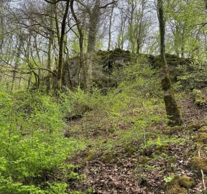 La source des Anges - Neufchef - 2