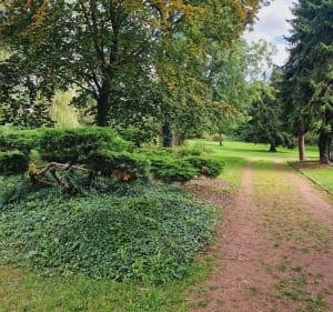 Balade autour de Merville, passage par ses parcs et hameaux - Merville - 2