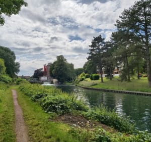 Balade zen le long du canal de la Scarpe - Vitry-en-Artois - 2