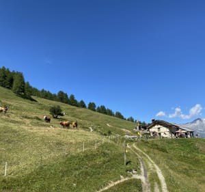 Les alpages de Montbats - Val-Cenis - 2