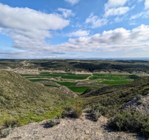 Paseo de los Amapolas y de Poza de Los Moros - Peralta - 2