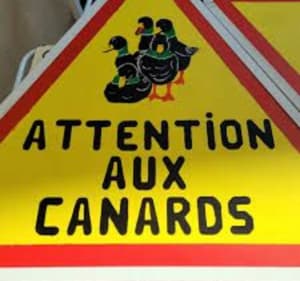 Sortie par Le Crocq et Bonneuil-les-Eaux - JL - 2
