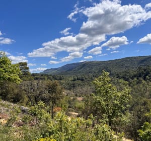 Sources de l’Huveaune et vue sur la Sainte-Baume - Saint-Zacharie - 2