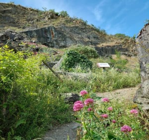 Au cœur de la réserve naturelle des Coteaux du Pont Barré - Beaulieu-sur-Layon - 2