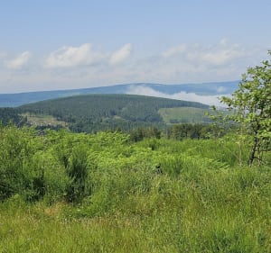 Boucle Mazamet-Pic de Nore - Tristan - 3