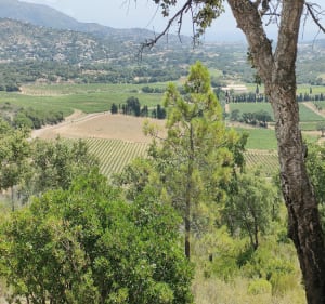 Autour du barrage de Trapan - Bormes-les-Mimosas - 2