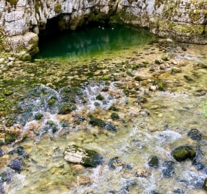 Découverte de la Bienne et passerelles himalayennes - Hauts-de-Bienne - 2