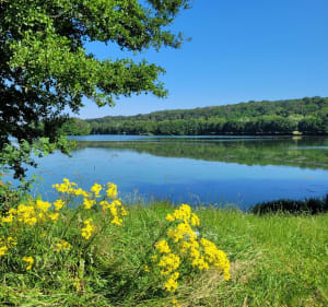 Balade en campagne depuis Ceintrey - Ceintrey - 2