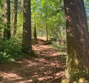 Sortie longue dans les Monts d'Or - Mathieu - 2
